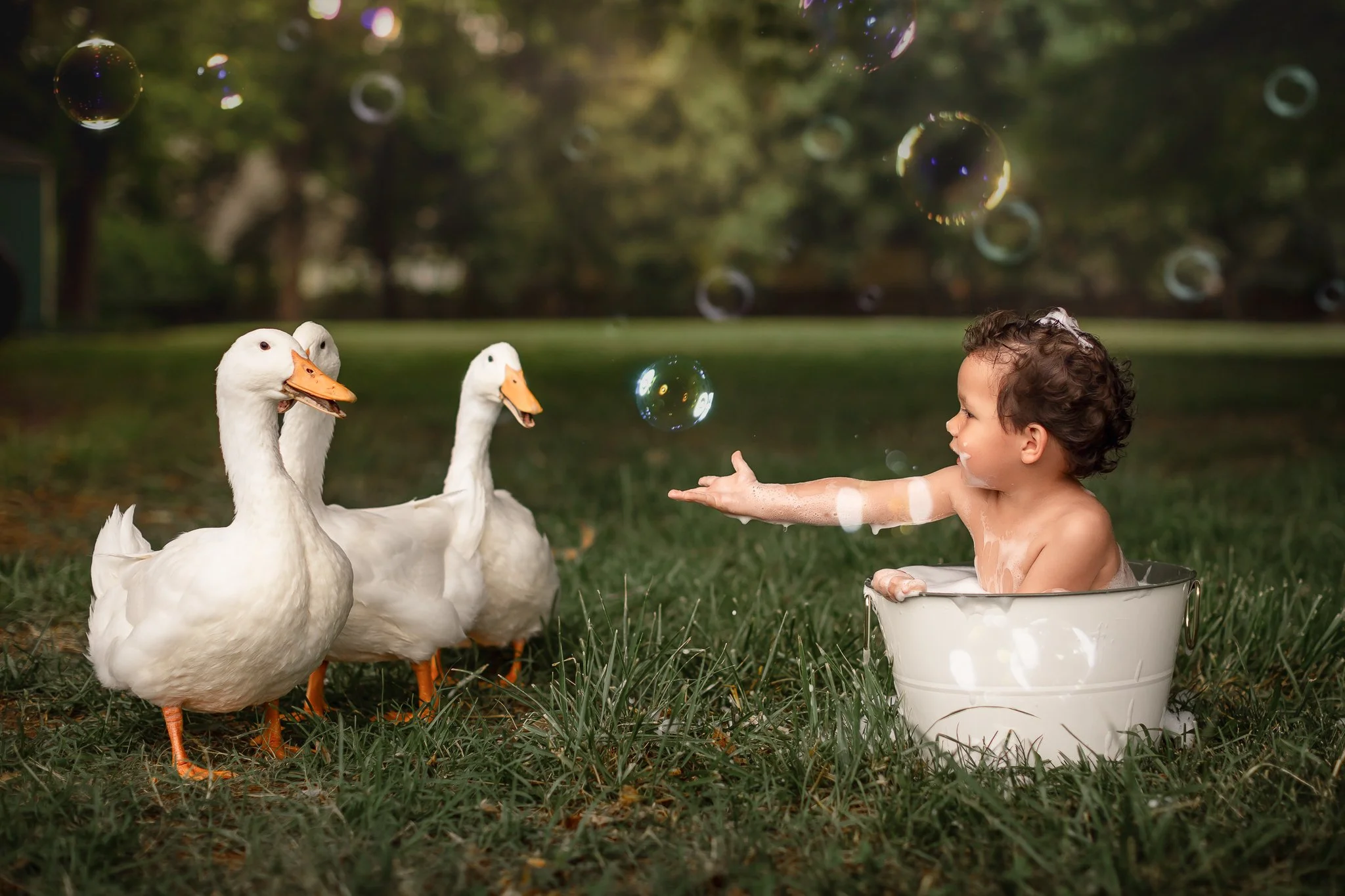 IMG_1160-Edit-Edit.jpg