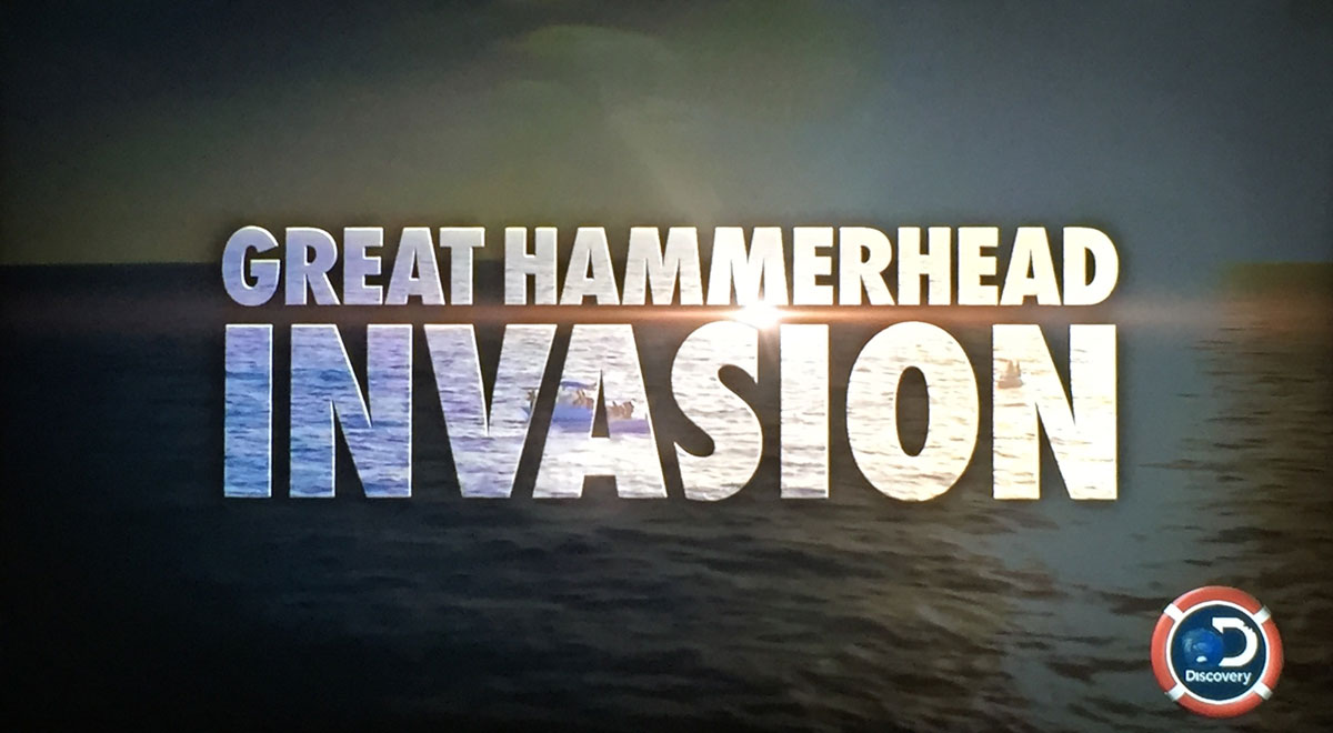 Shark_Week_2017_04_Great_Hammerhead_Invasion_web1200.jpg