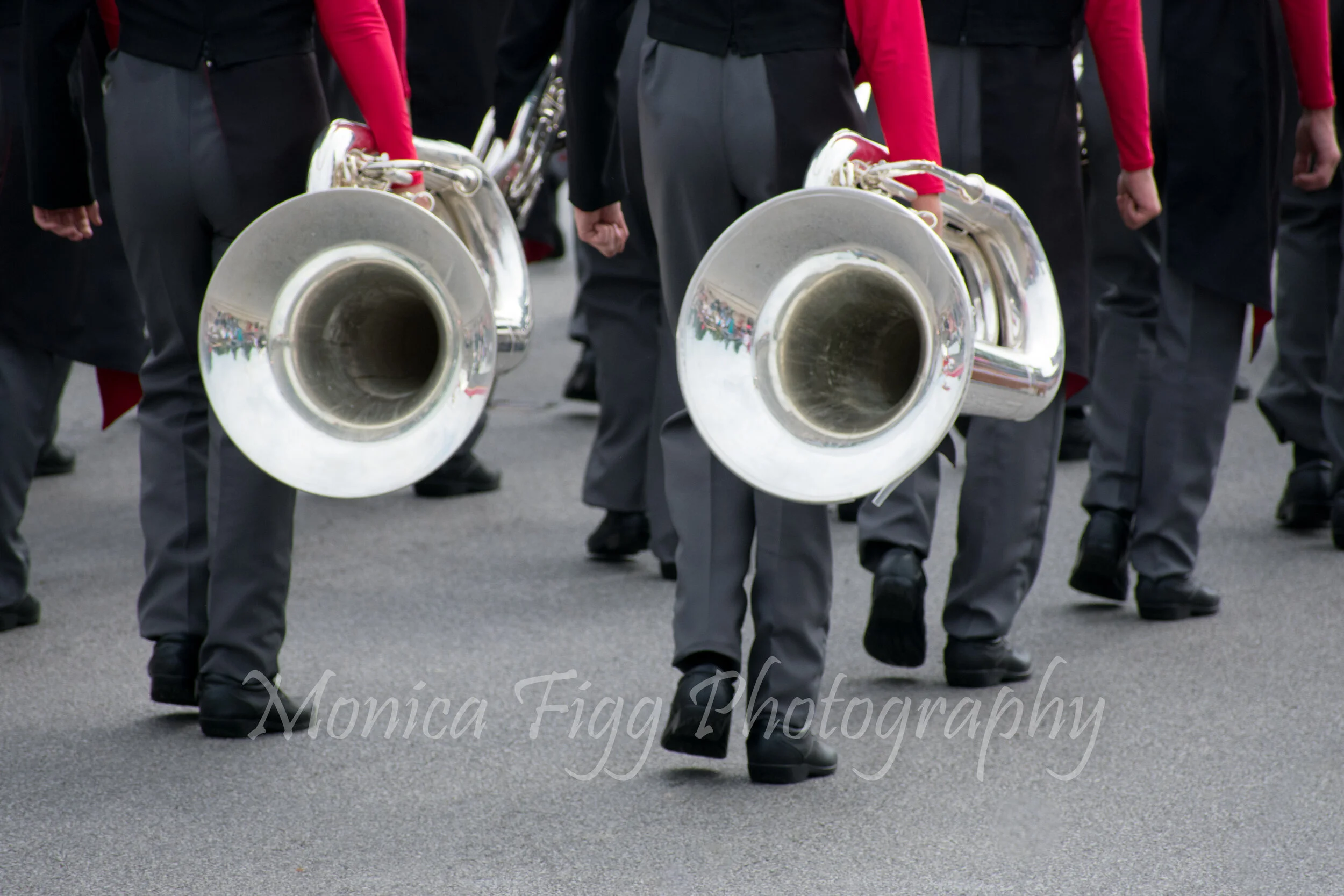DSC_0114.jpg