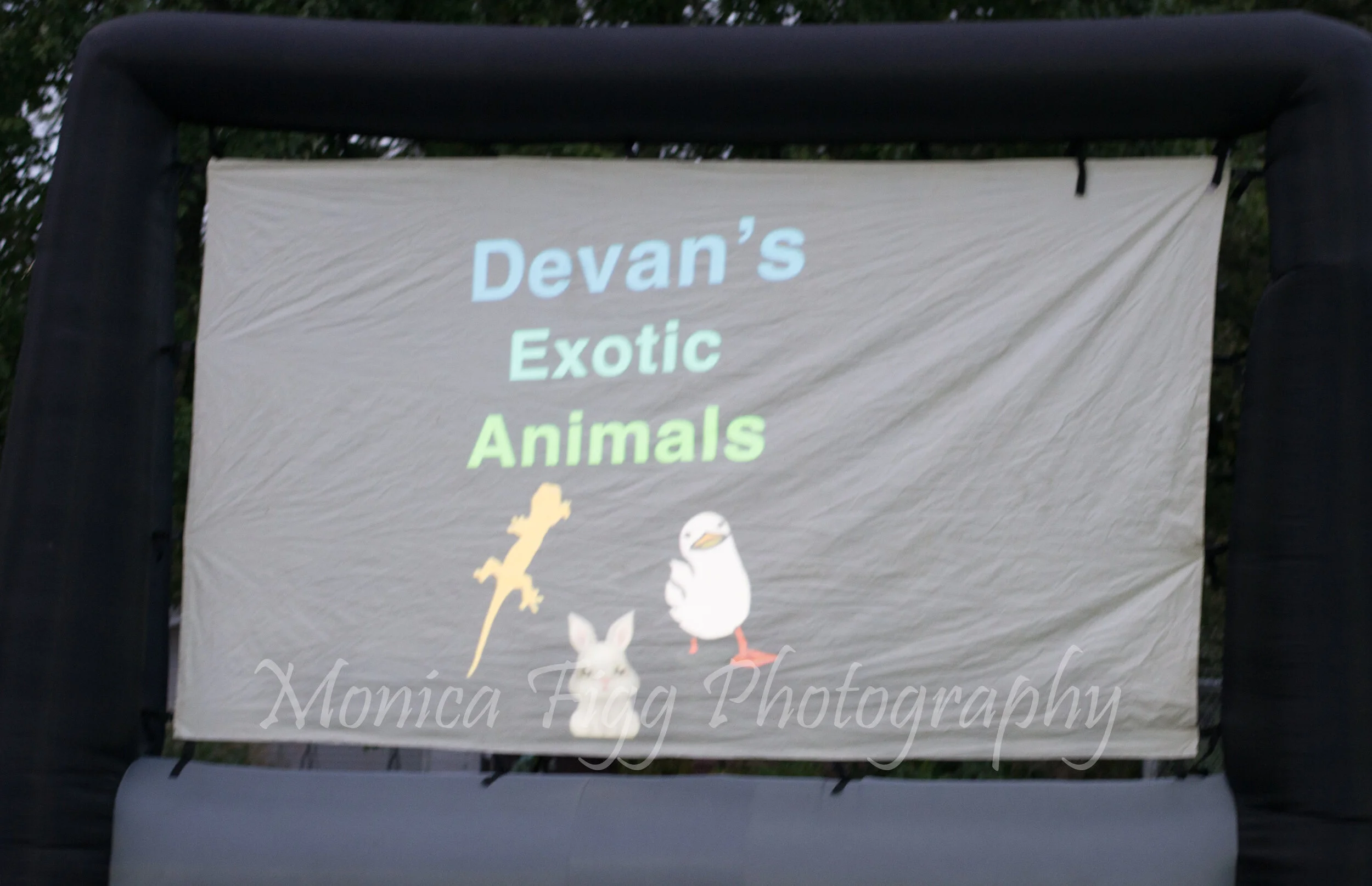 DSC_7443.jpg