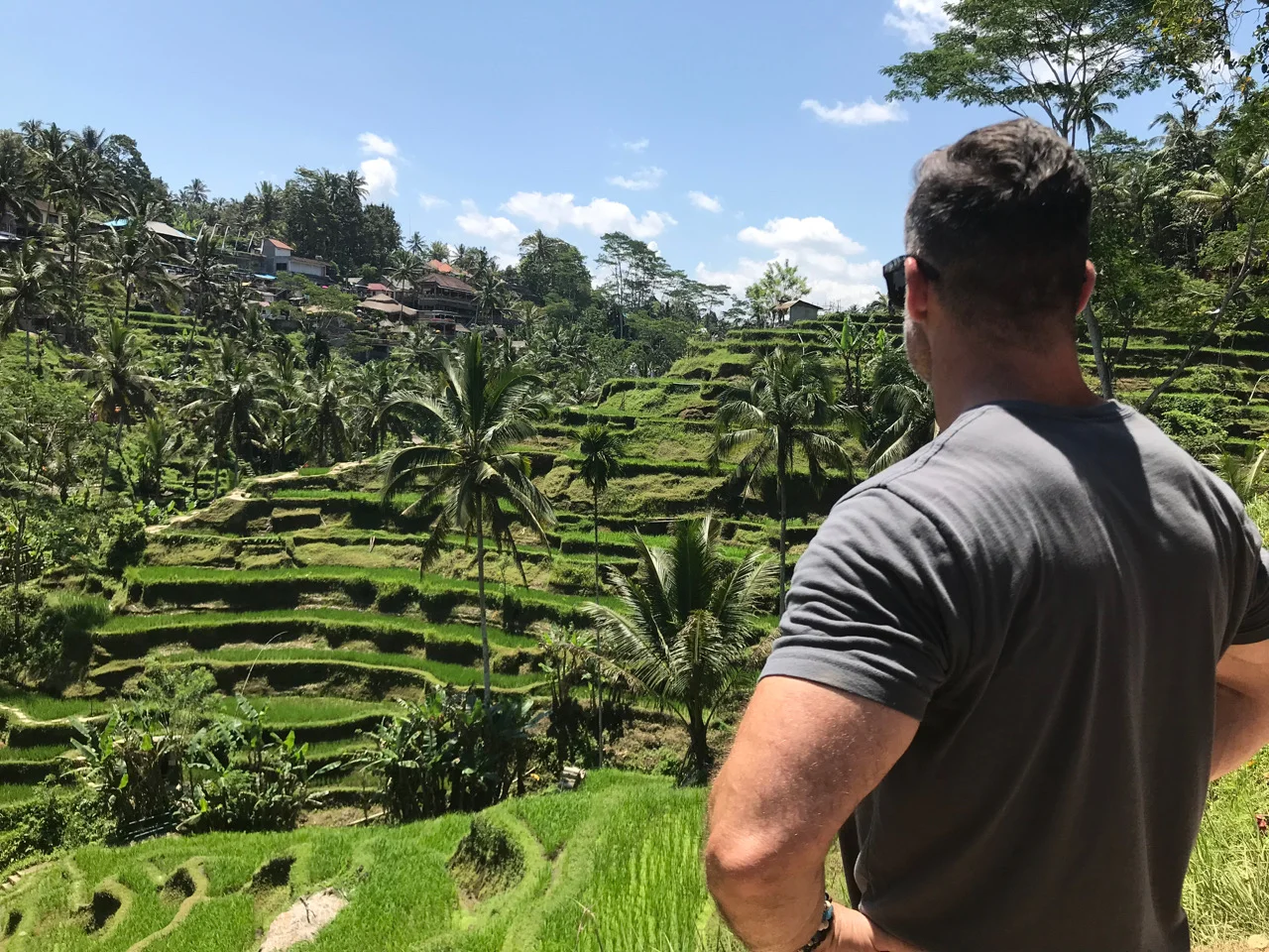 Tegalalang Rice Terrace