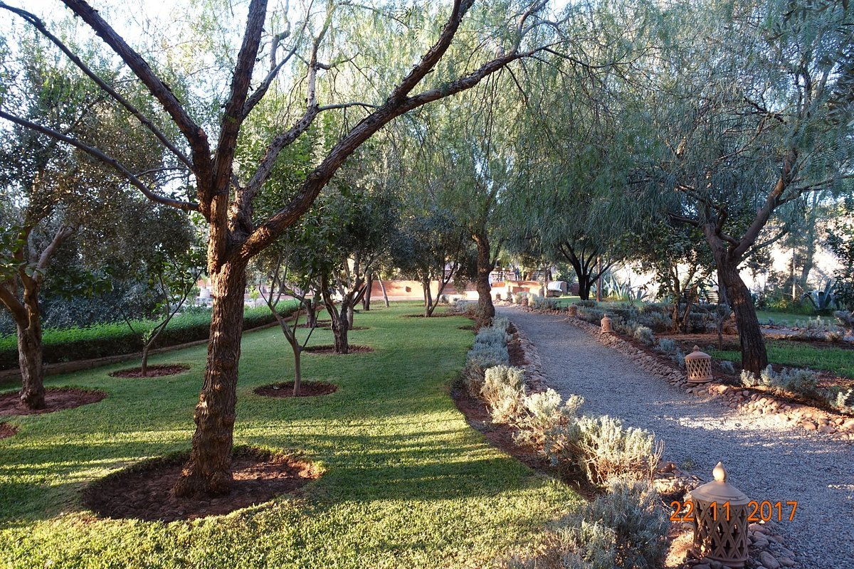 kasbah-bab-ourika-garden.jpg