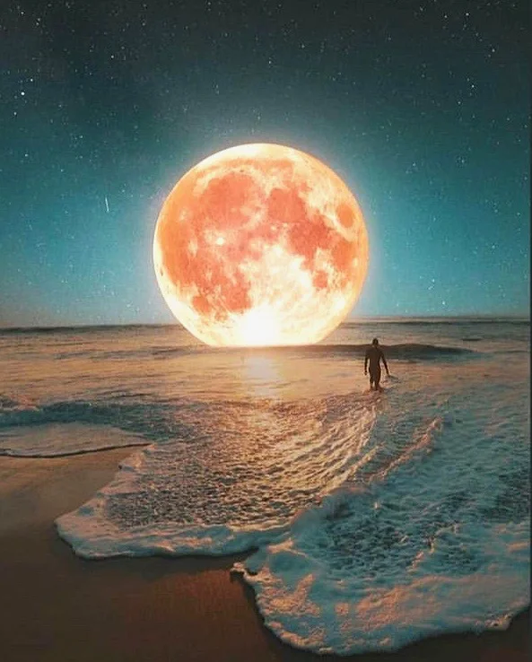 The_Blonde_Priestess_Full_Moon_in_Virgo_February_2019.jpeg