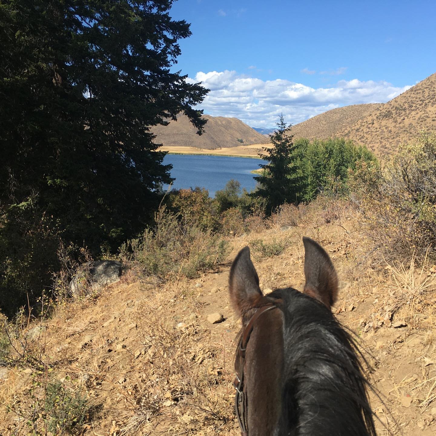 Cowgirling with @eclark.03