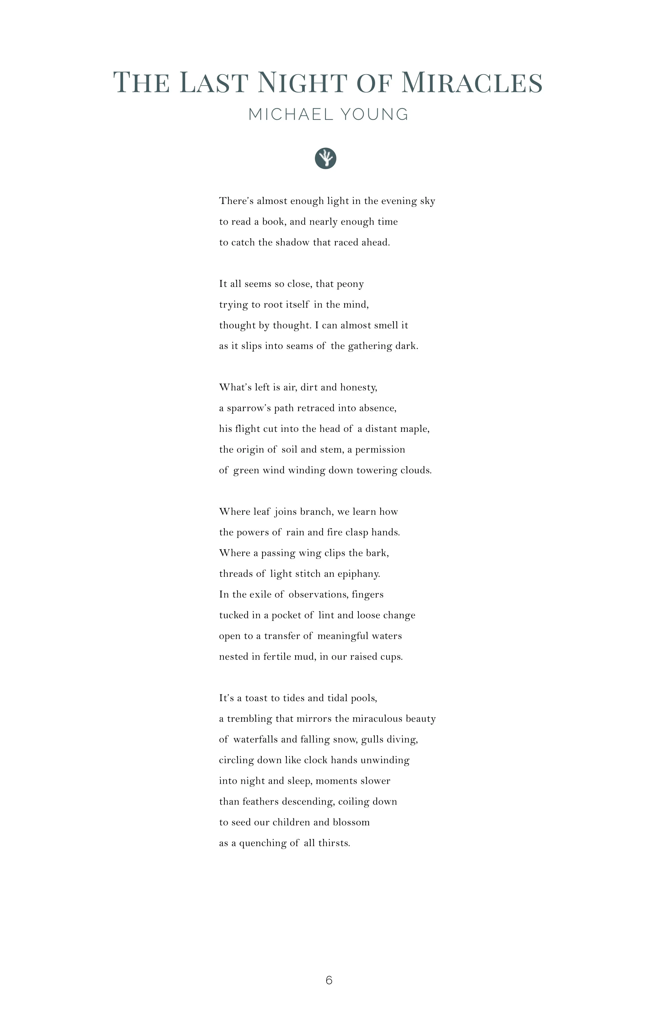 Shrew Issue 1 Complete 6-08.jpg