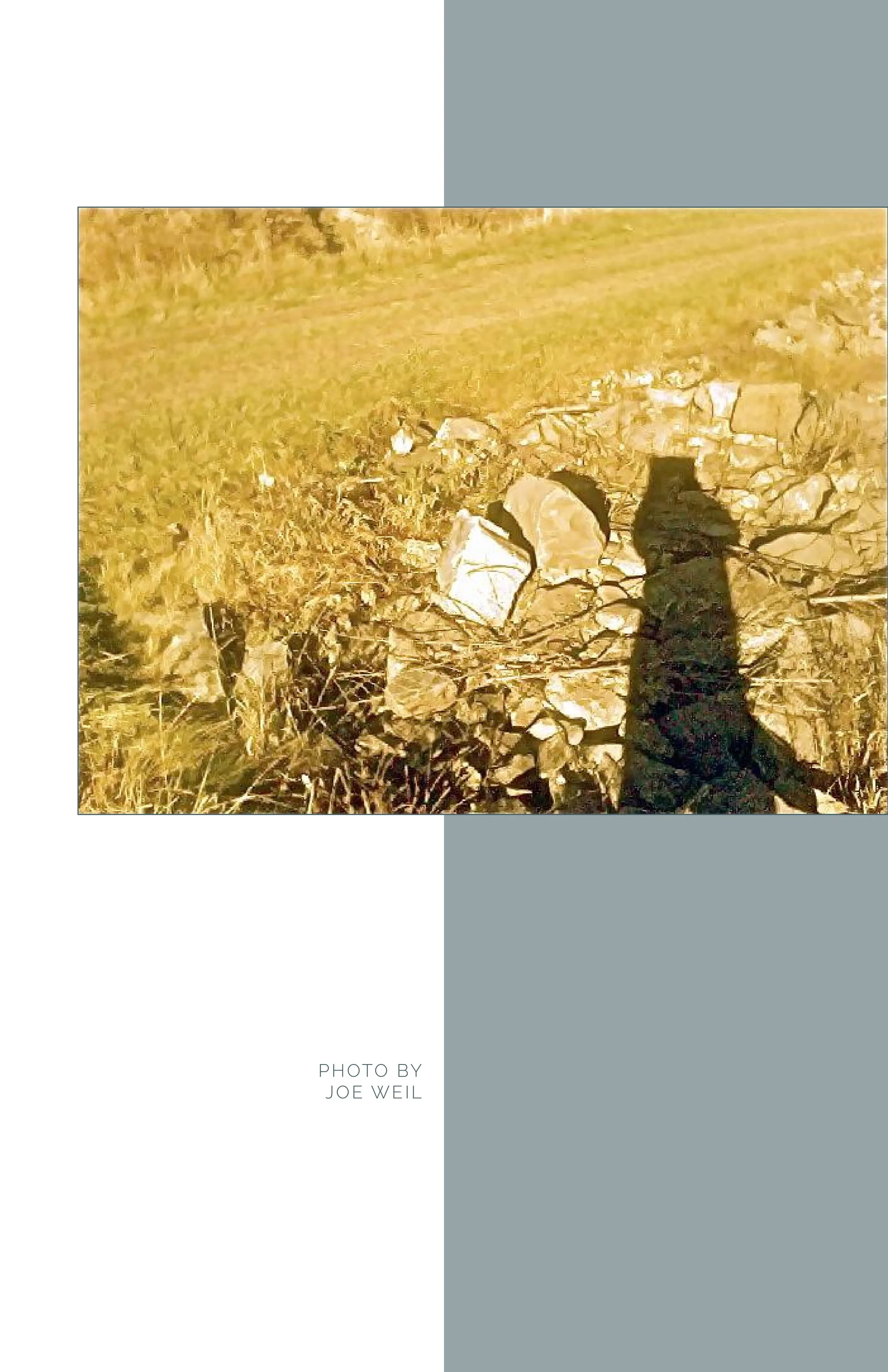 Shrew Issue 1 Complete 6-09.jpg