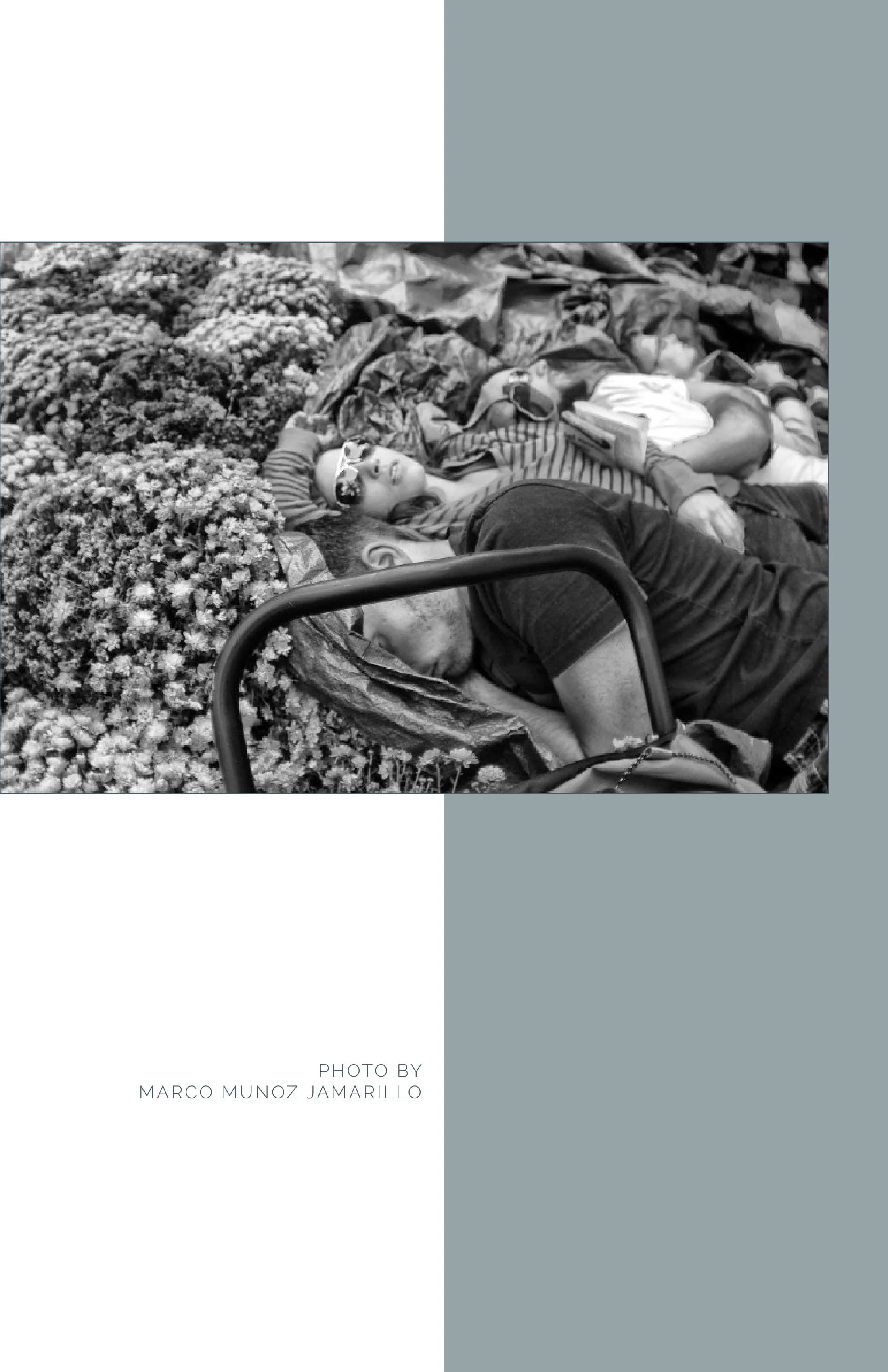 Shrew Issue 1 Complete 6-07.jpg