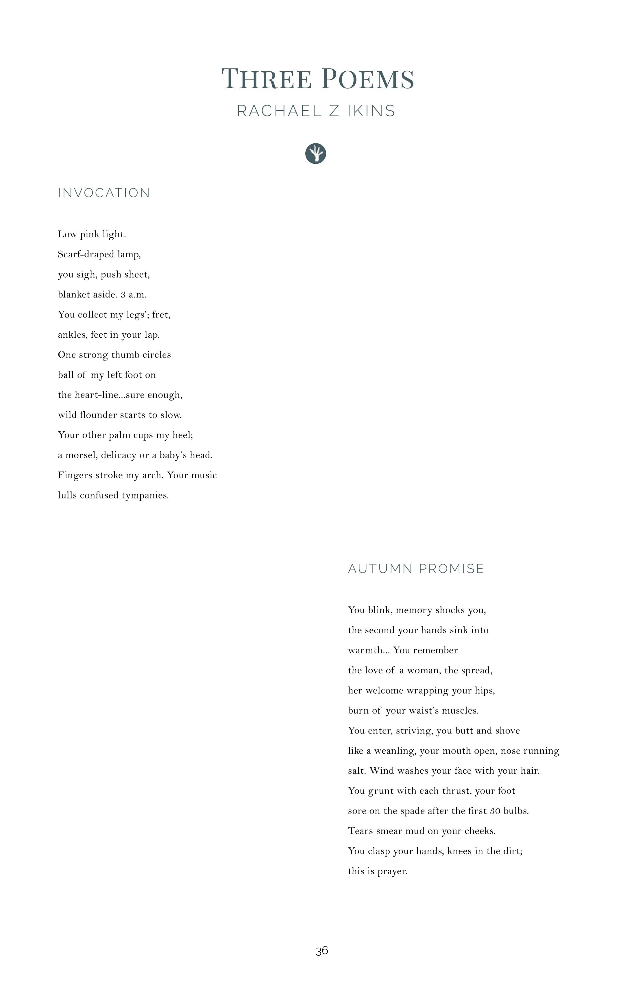 Shrew Issue 1 Complete 6-38.jpg