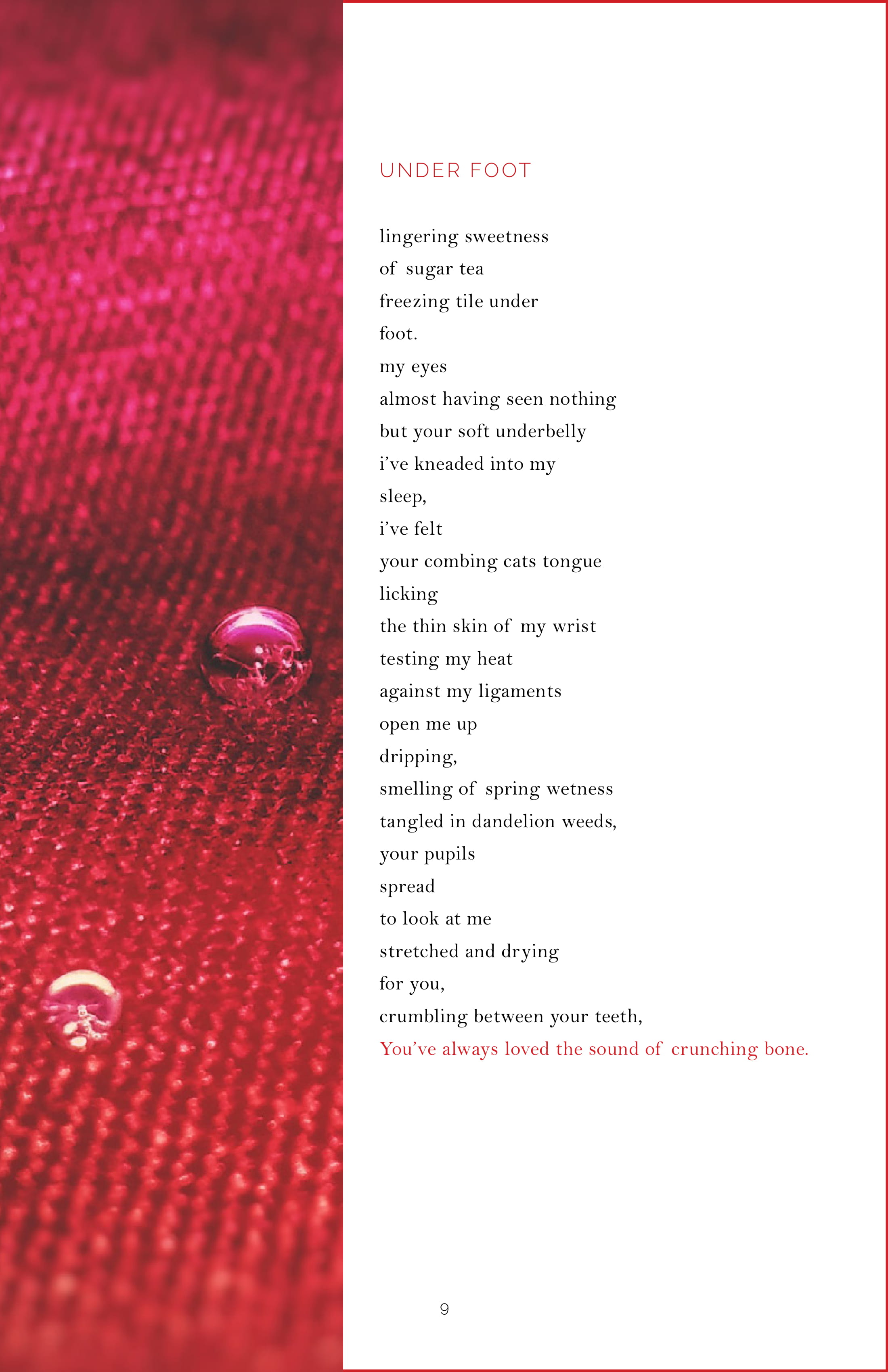 Shrew Issue 6.2-11.jpg