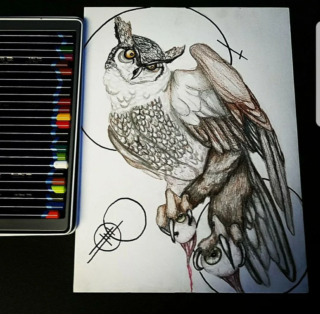 PaigeAWininger_OwlDrawing.jpg