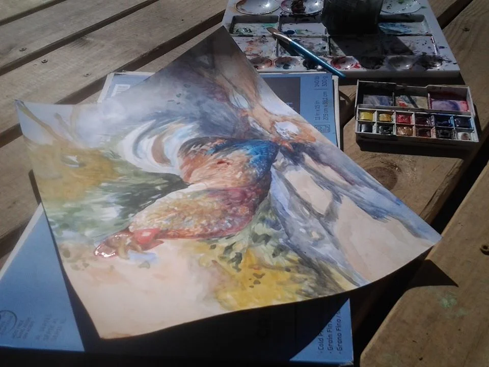 PaigeWininger_ChickenWatercolor.jpg