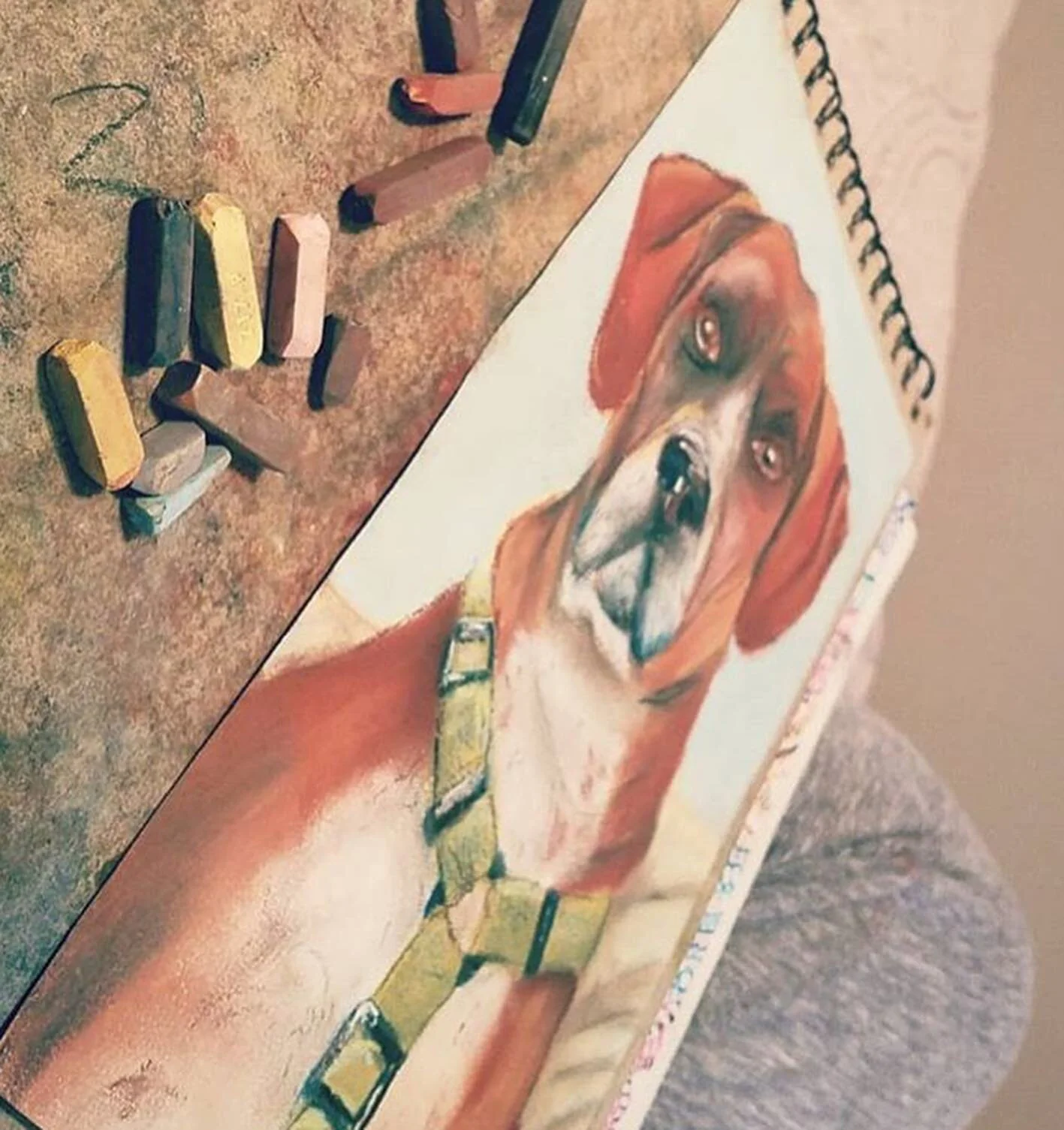 PAWPetPortraitBane.jpg