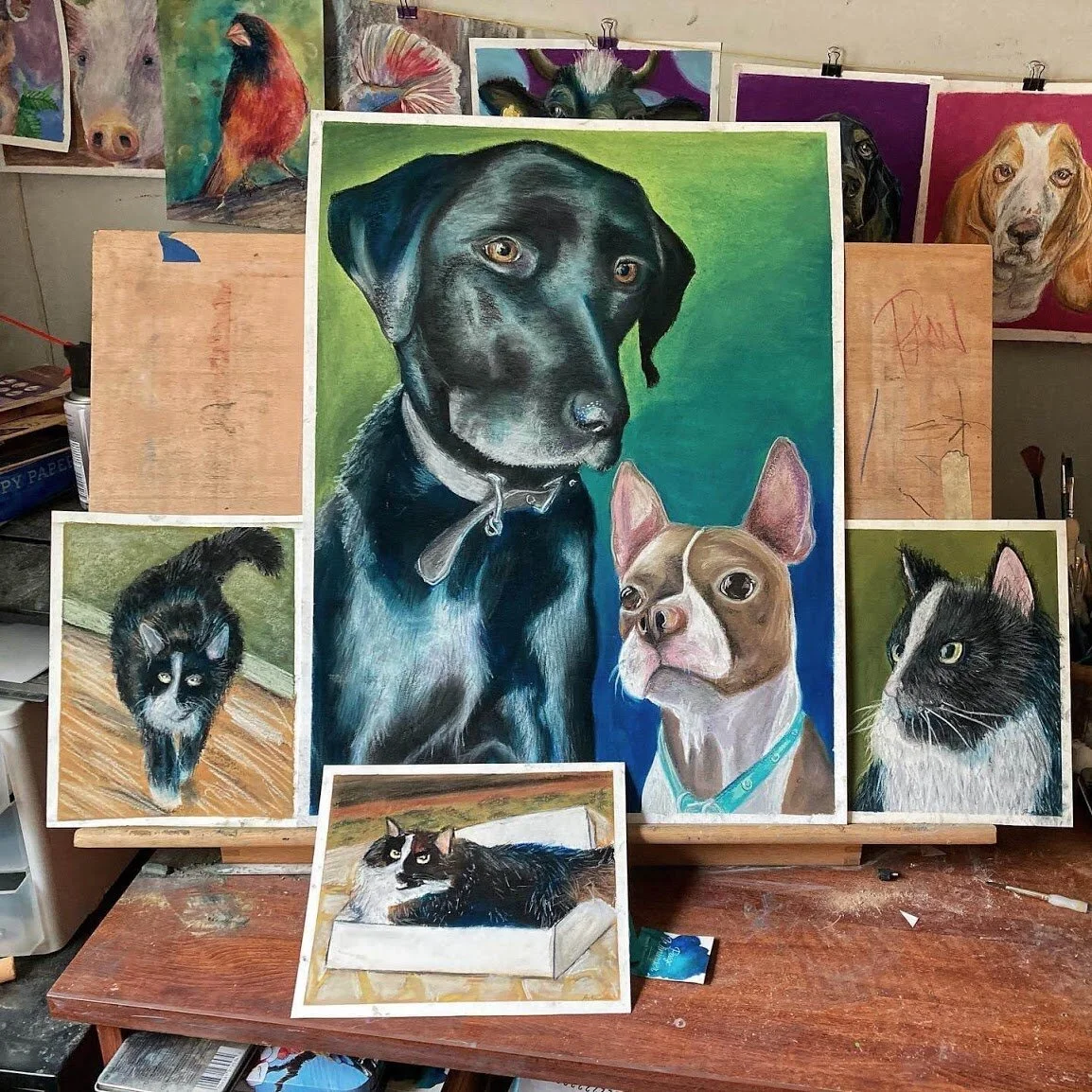 PetPortraitsPAW2.JPG