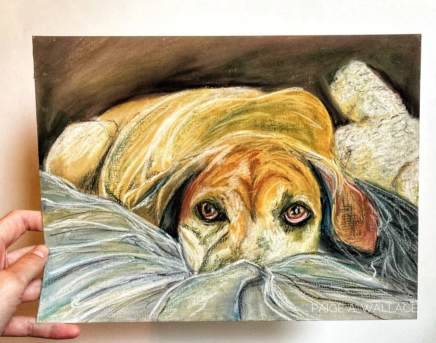 PetportraitPAW.jpg
