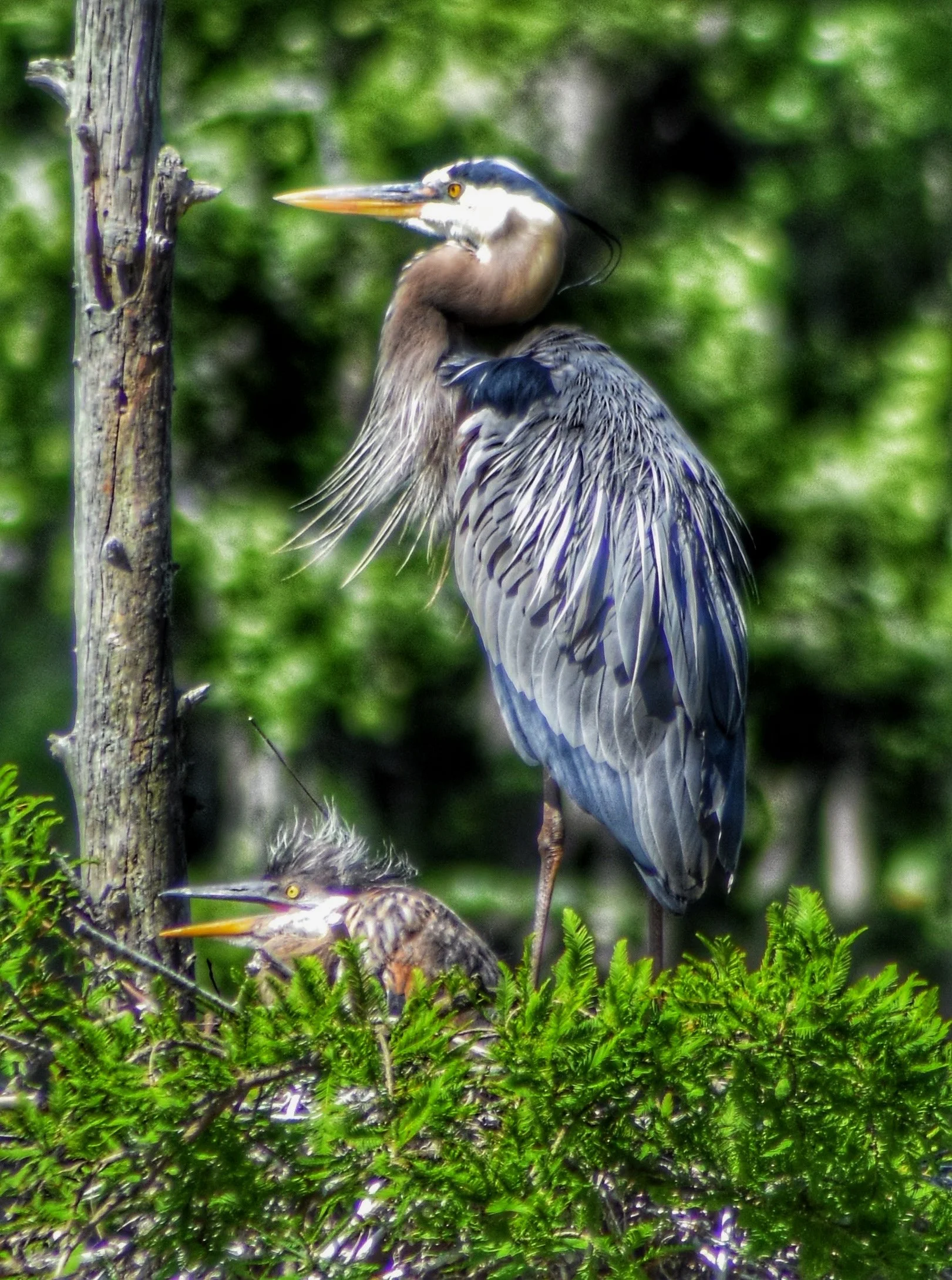 DSC_0125_Original.jpeg