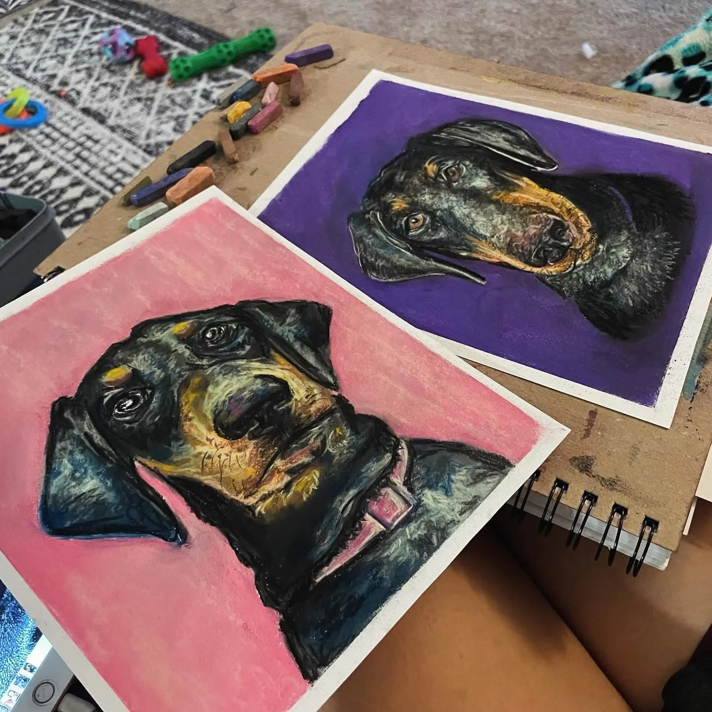 Pet Portraits