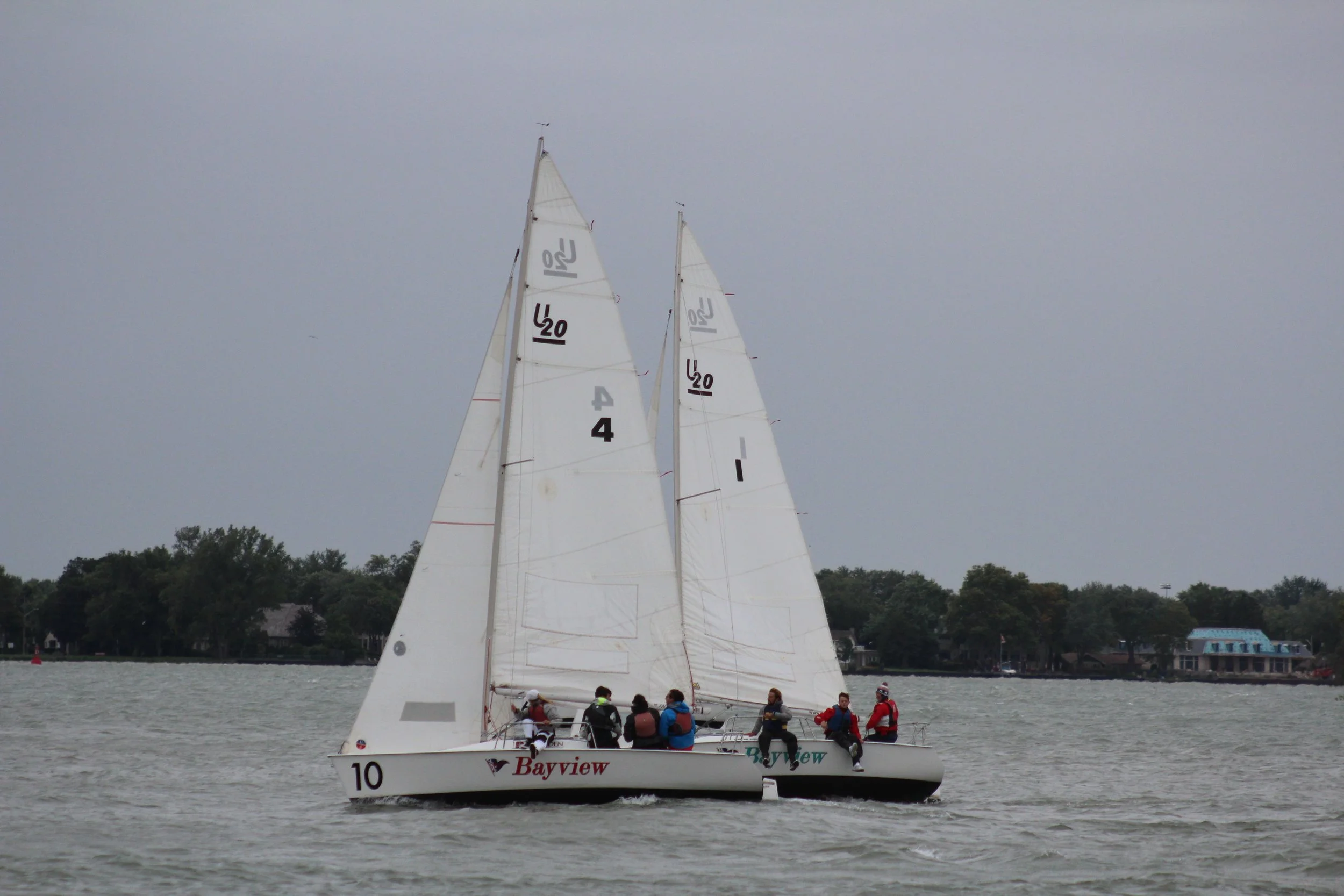 IMG_9790.jpg