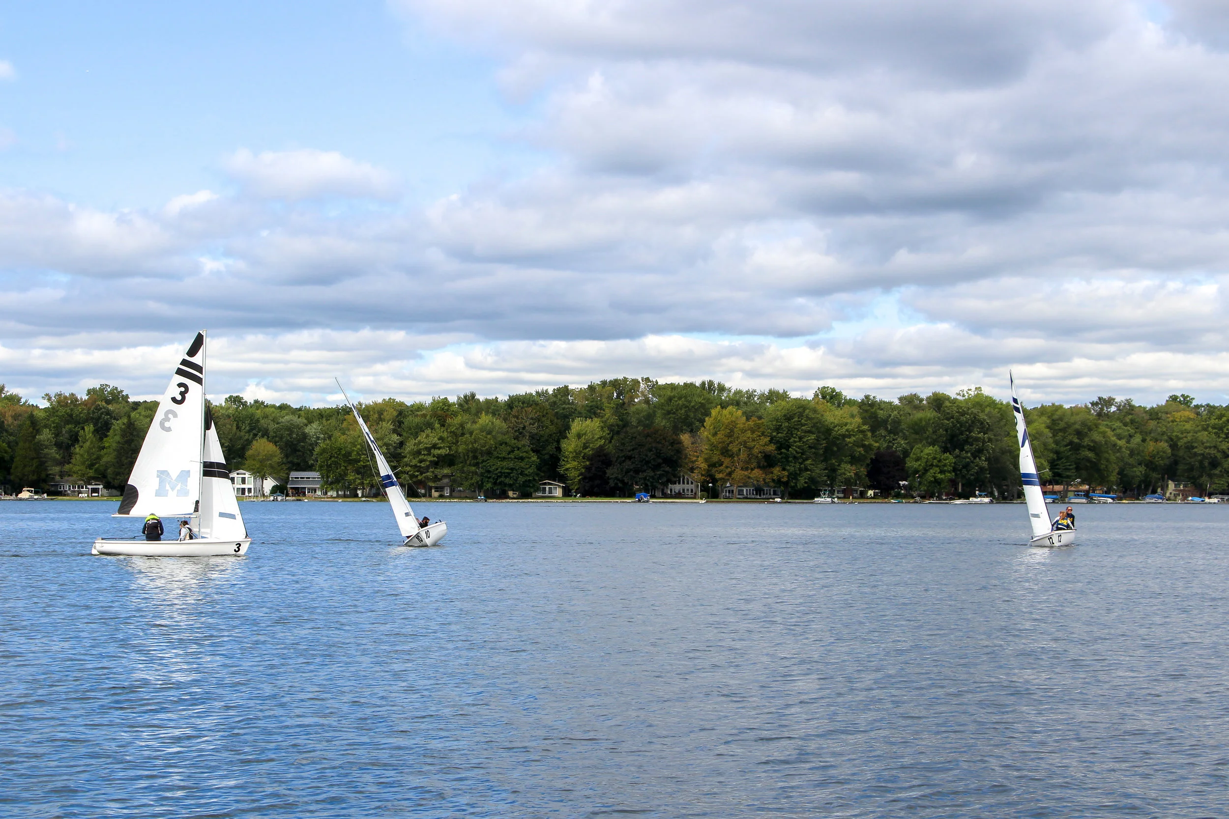 IMG_4381.jpg