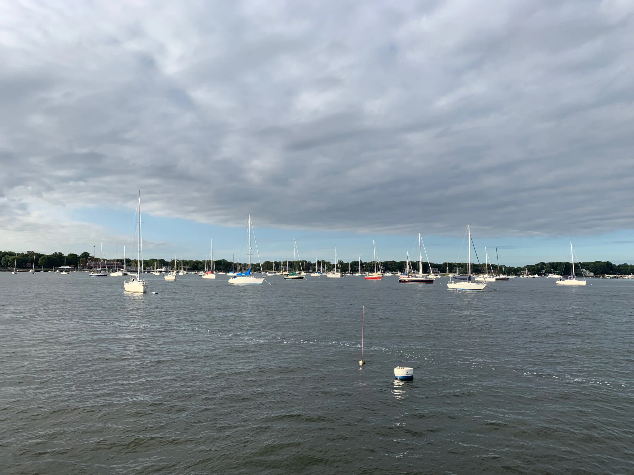 IMG_0068.jpg
