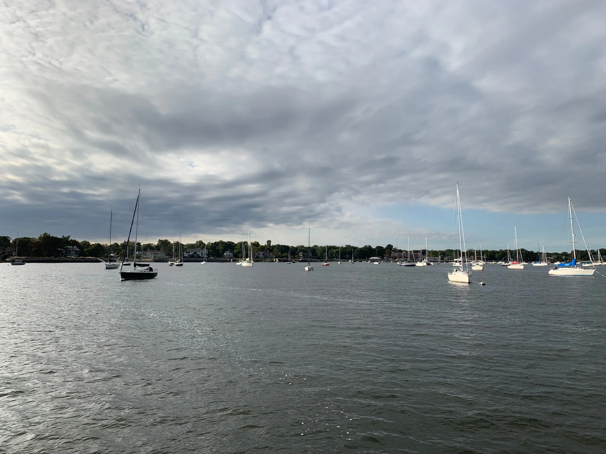 IMG_0072.jpg