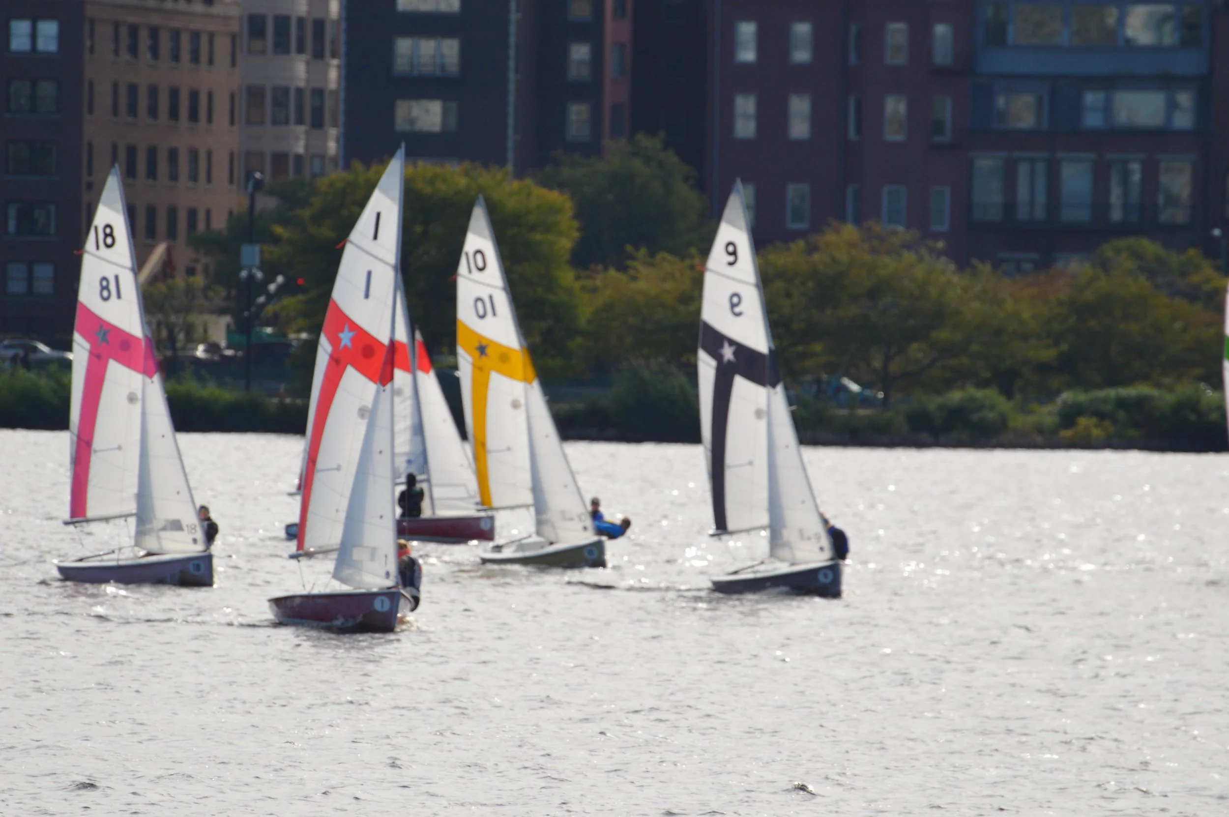 DSC_0209.jpg