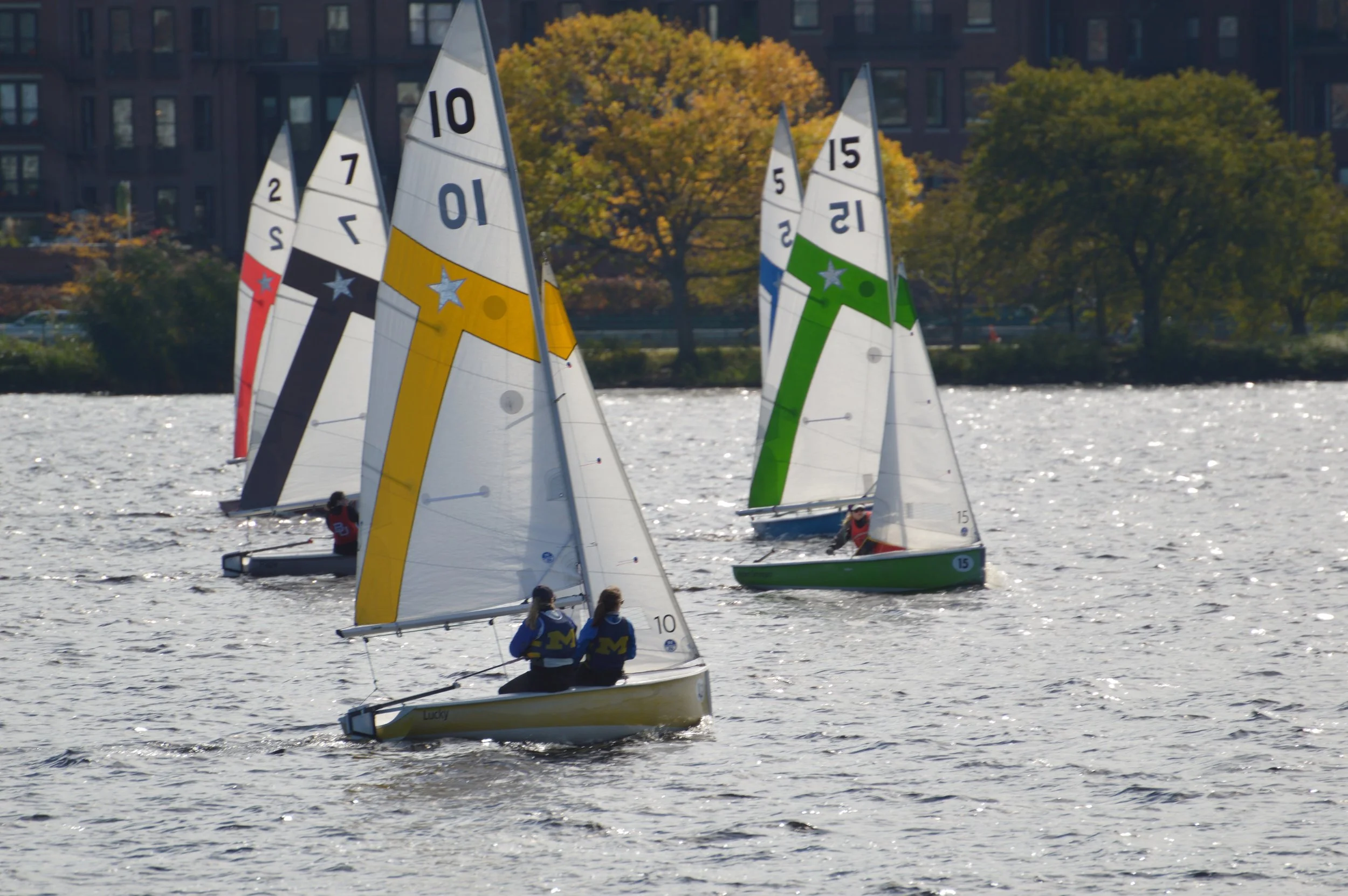 DSC_0238.jpg