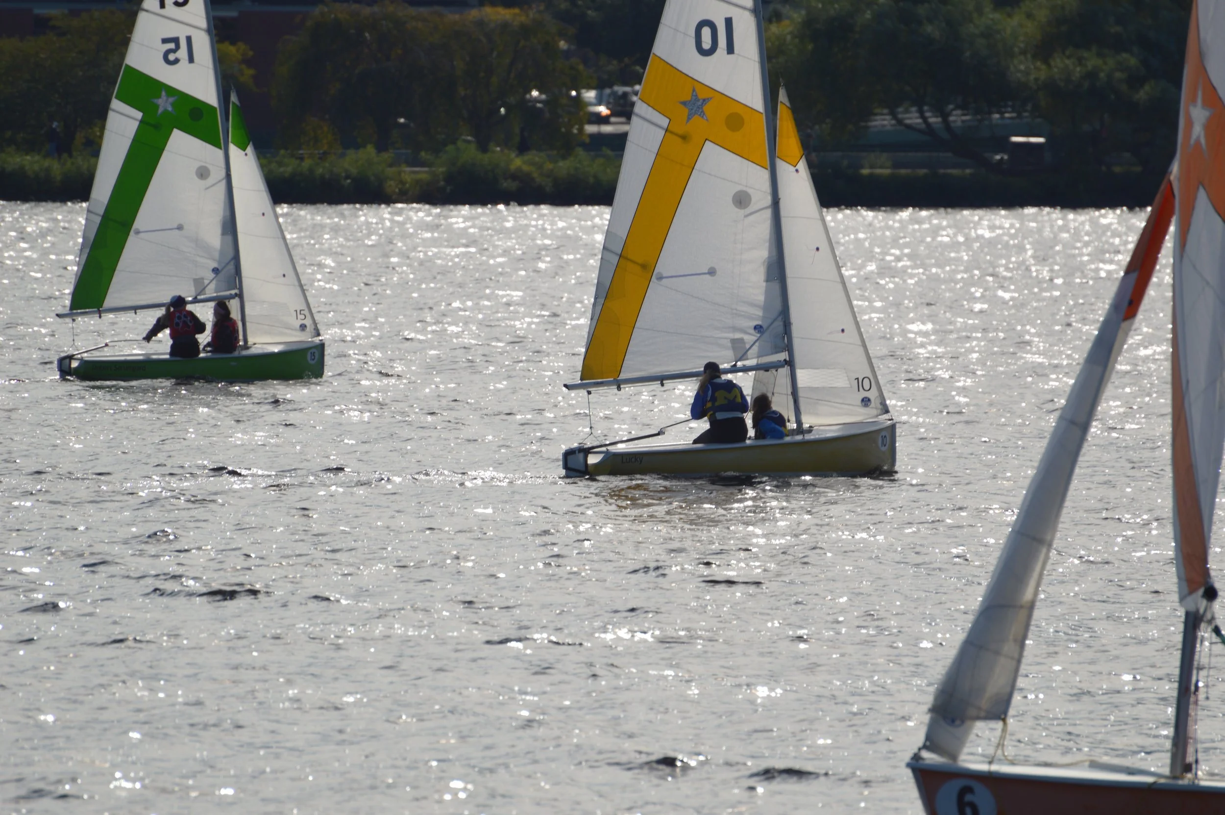DSC_0241.jpg