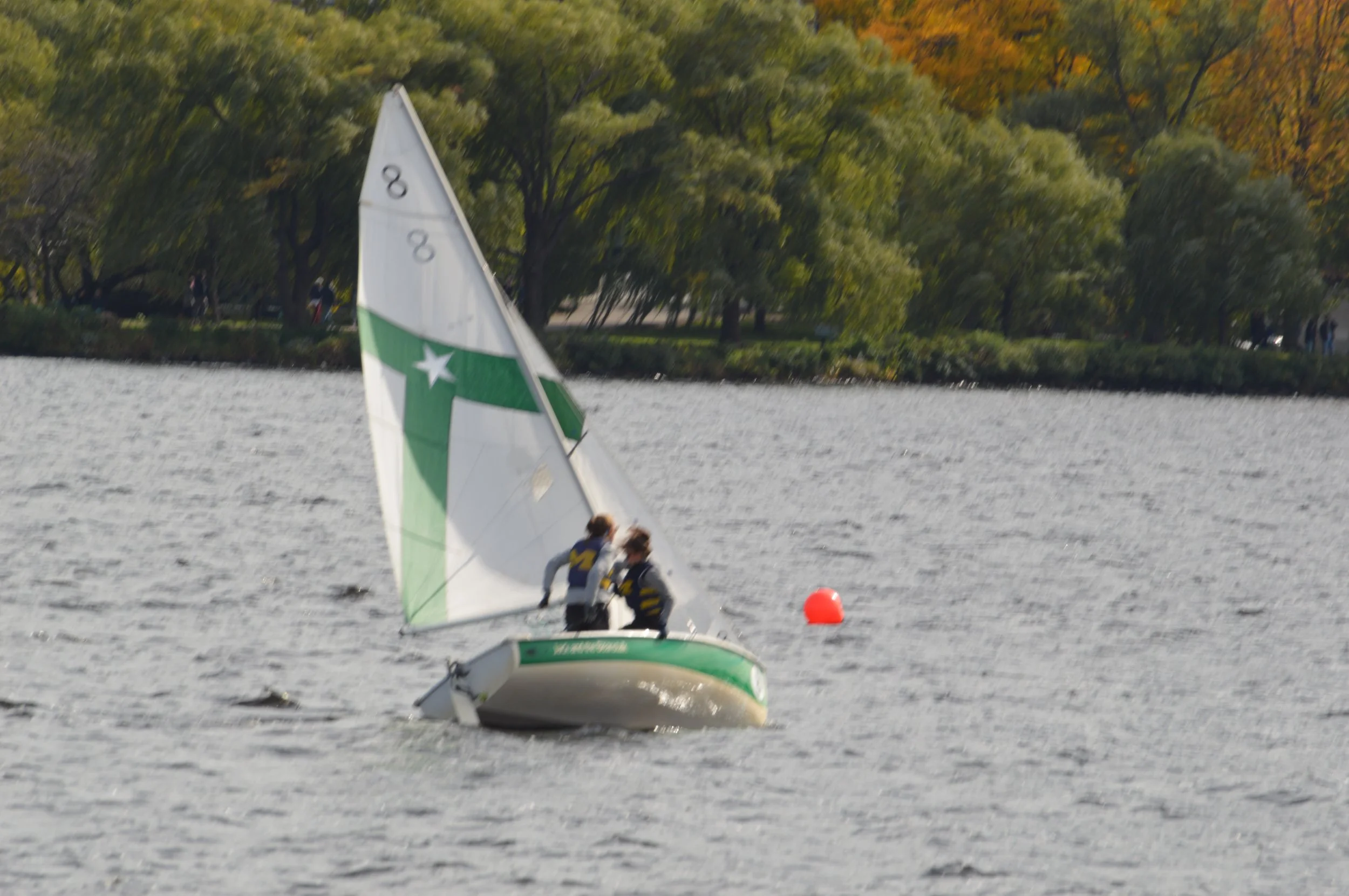 DSC_0293.jpg