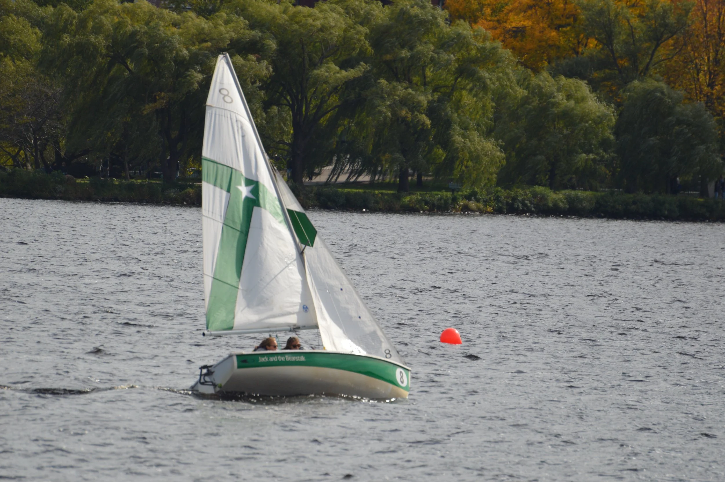 DSC_0292.jpg