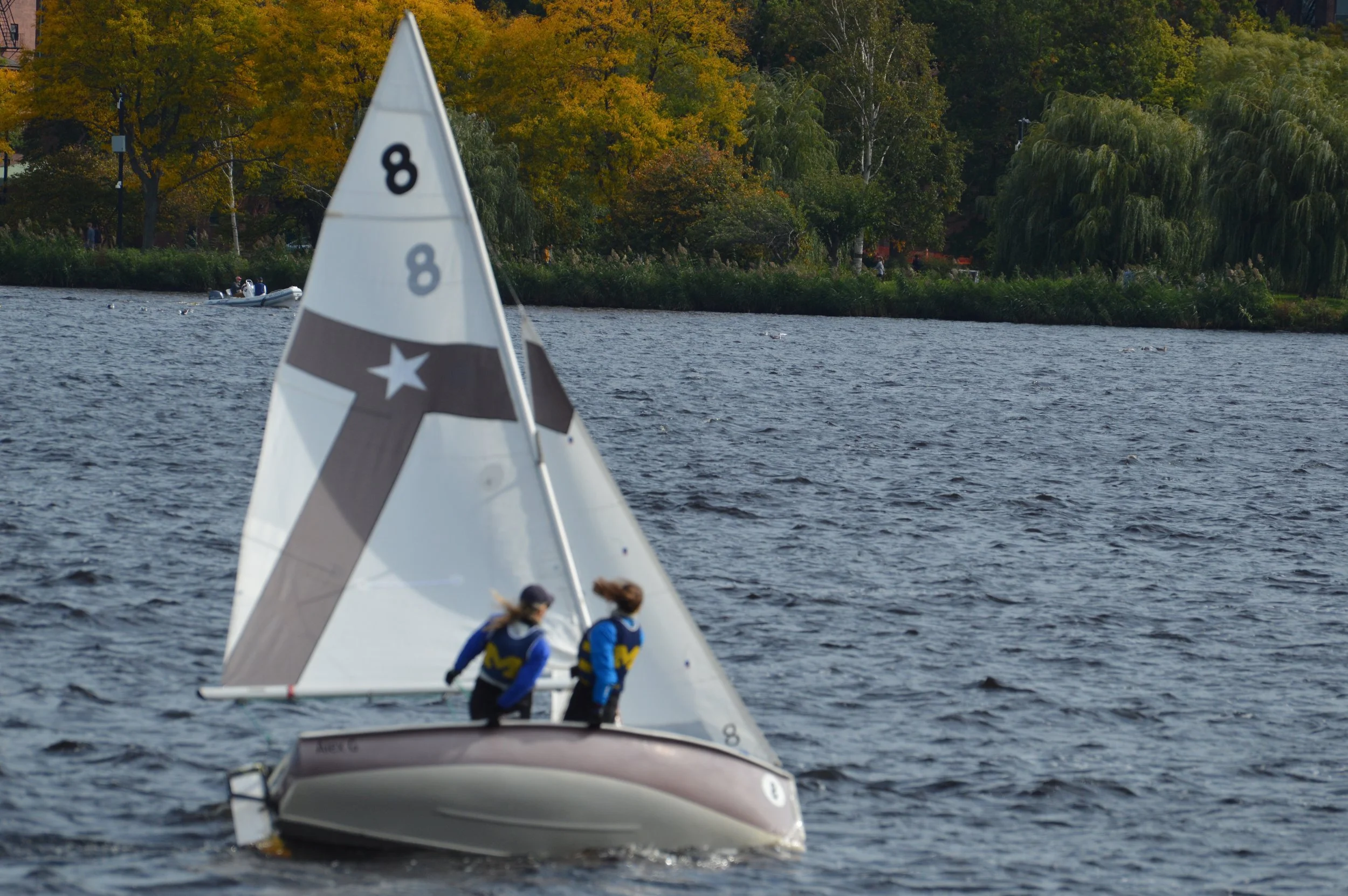 DSC_0302.jpg