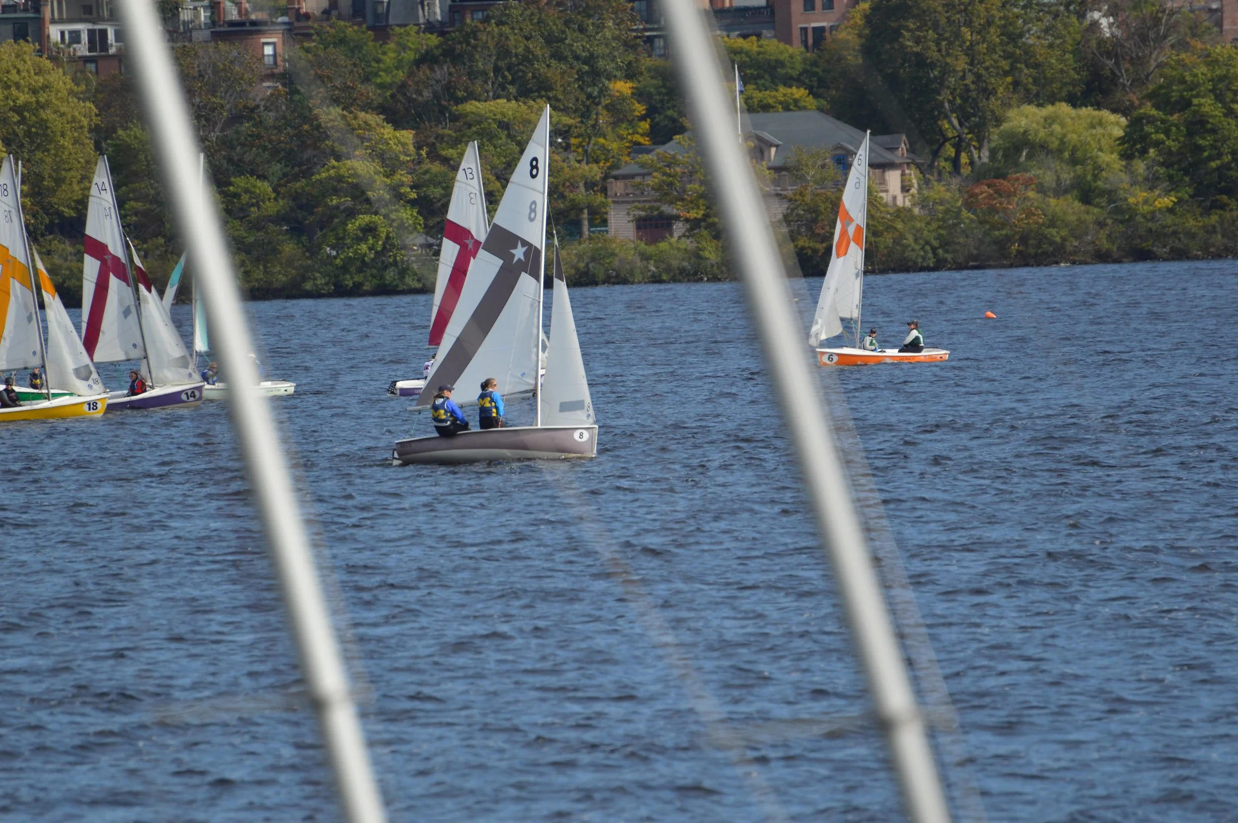 DSC_0309.jpg