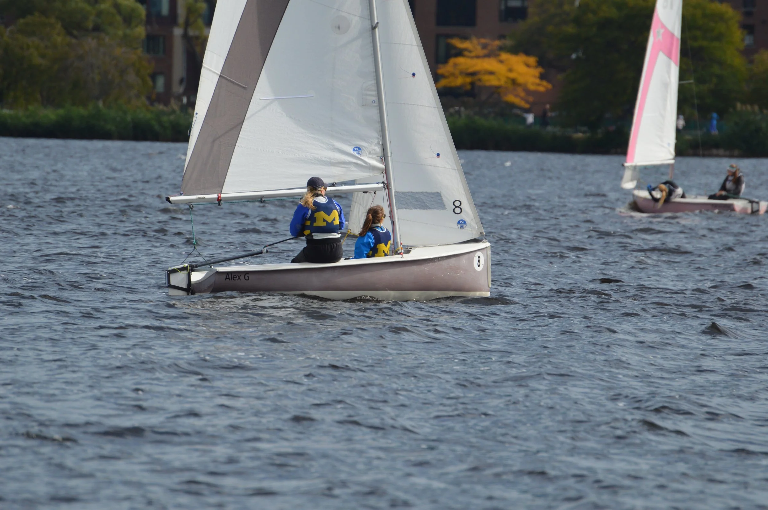 DSC_0320.jpg