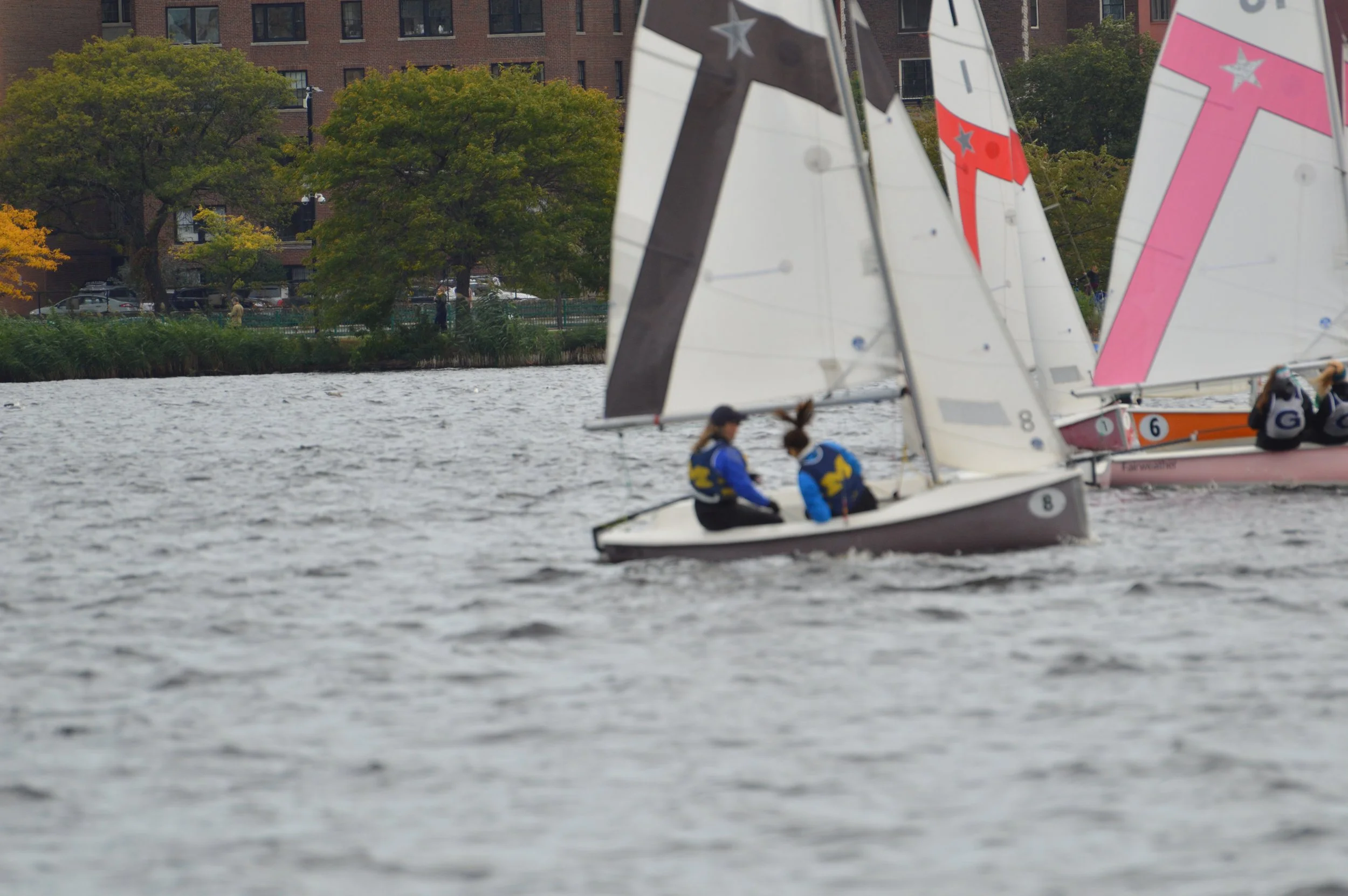 DSC_0353.jpg