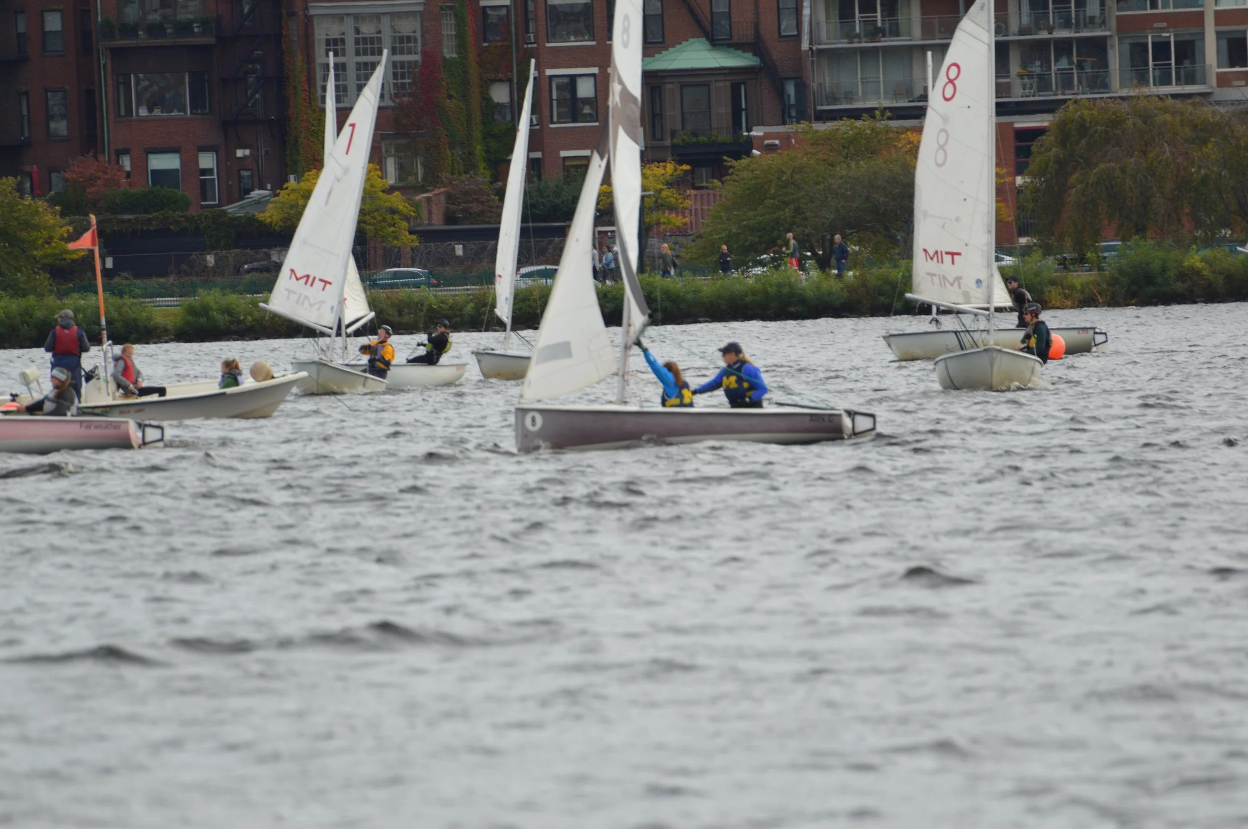 DSC_0362.jpg