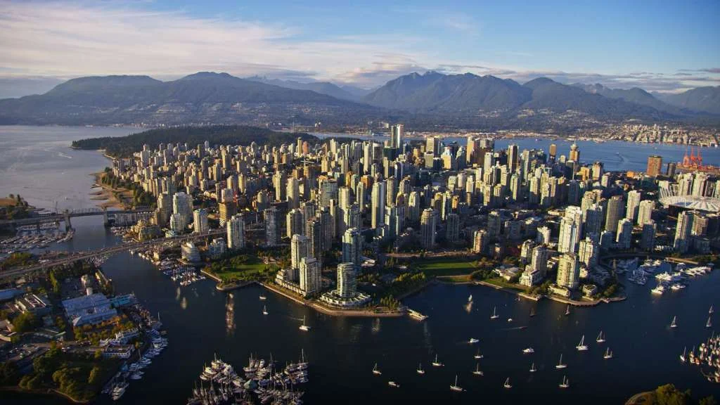 aerial_9286c8f8-5198-4ef6-92c9-f593c0e2f354.jpg