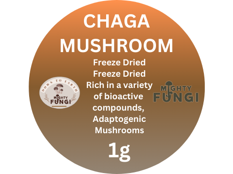Chaga Sample 1g 40mm   L7129.png