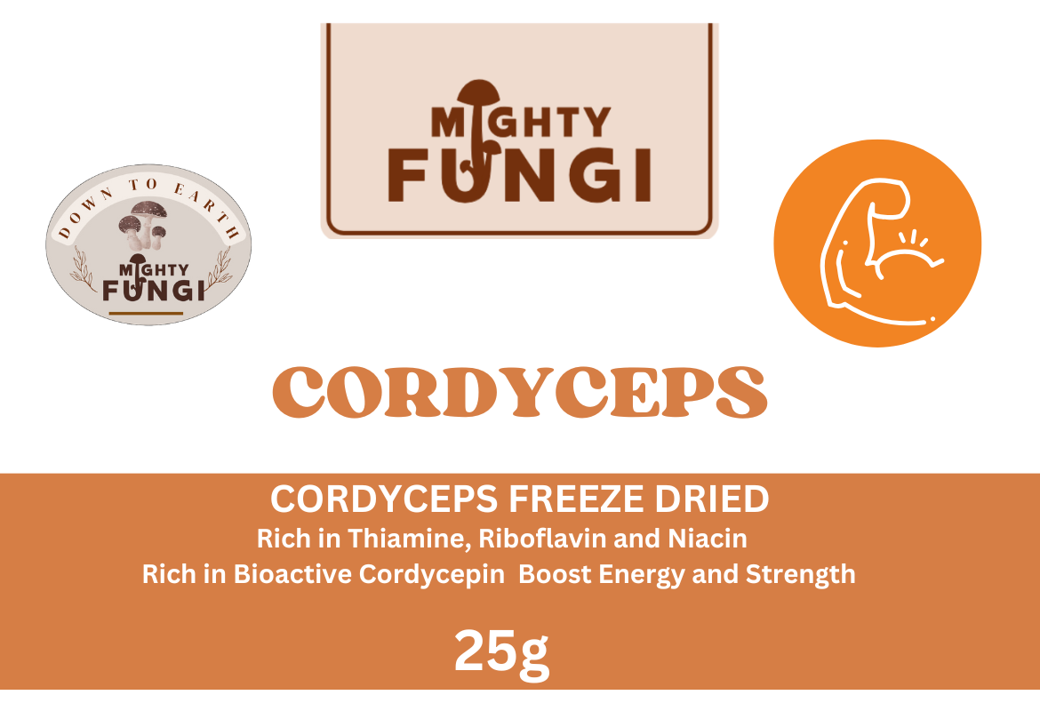 Cordyceps  front 25g L7165.png