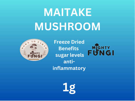 Maitake Sample Front 1g 40mm   L7129.png