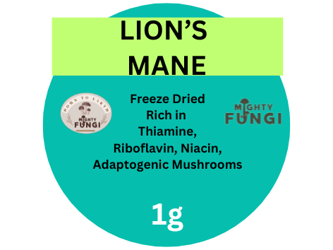 Lions Mane Small Sampel Front 1g 40mm   L7129.png