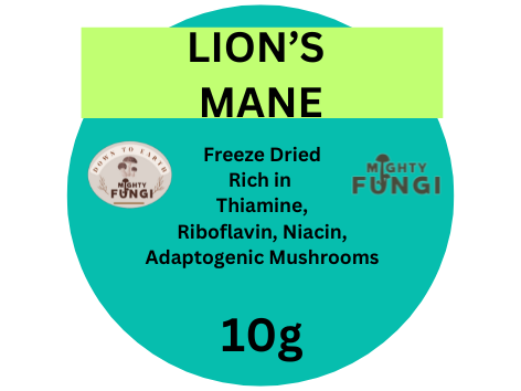 Lions Mane Small Front 10g 40mm   L7129.png