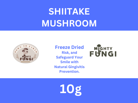 Shiitake Frontl 10g 40mm L7129.png