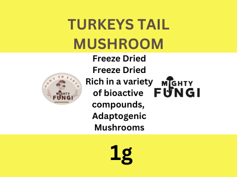 Turkeys Tail Front 1g 40mm  L7129.png