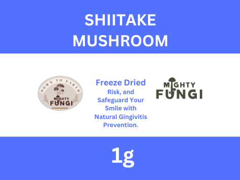 Shiitake Front 1g 40mm L7129.png