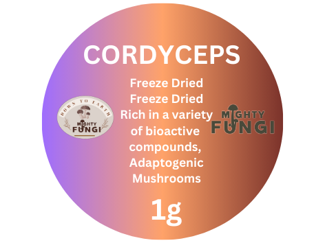 Cordyceps Small 1g 40mm  L7129 (1).png