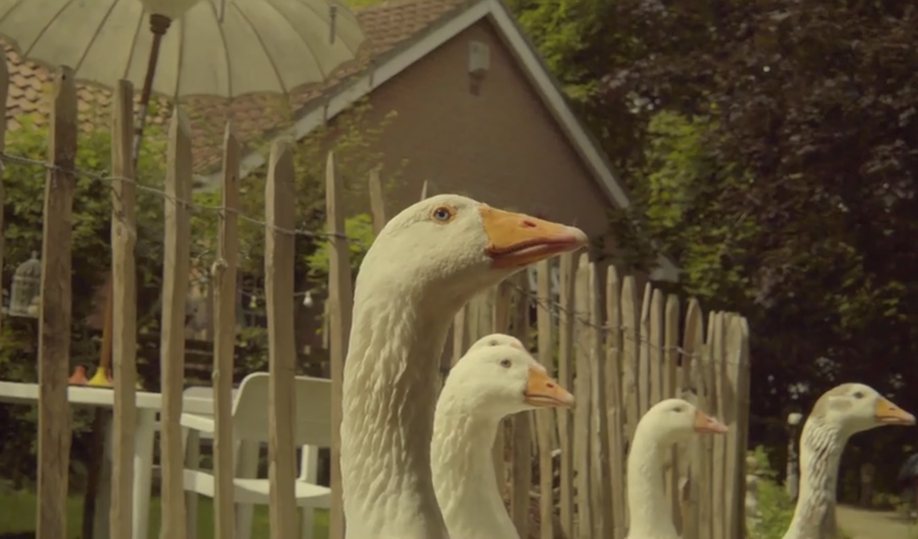 geese.png
