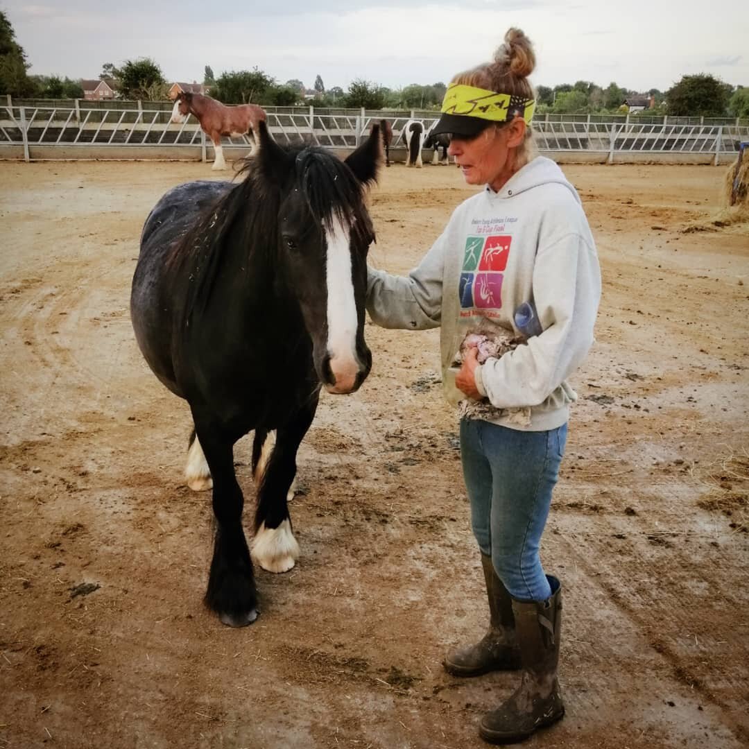 Fiona with little Lolly, rescued last year 😊

Please do get in touch if you would like to help Fiona with the feed costs at the sanctuary

You can help from just &pound;1 a month ☺️

#horses #ponies #horsesofinstagram #poniesofinstagram #govegan #fi