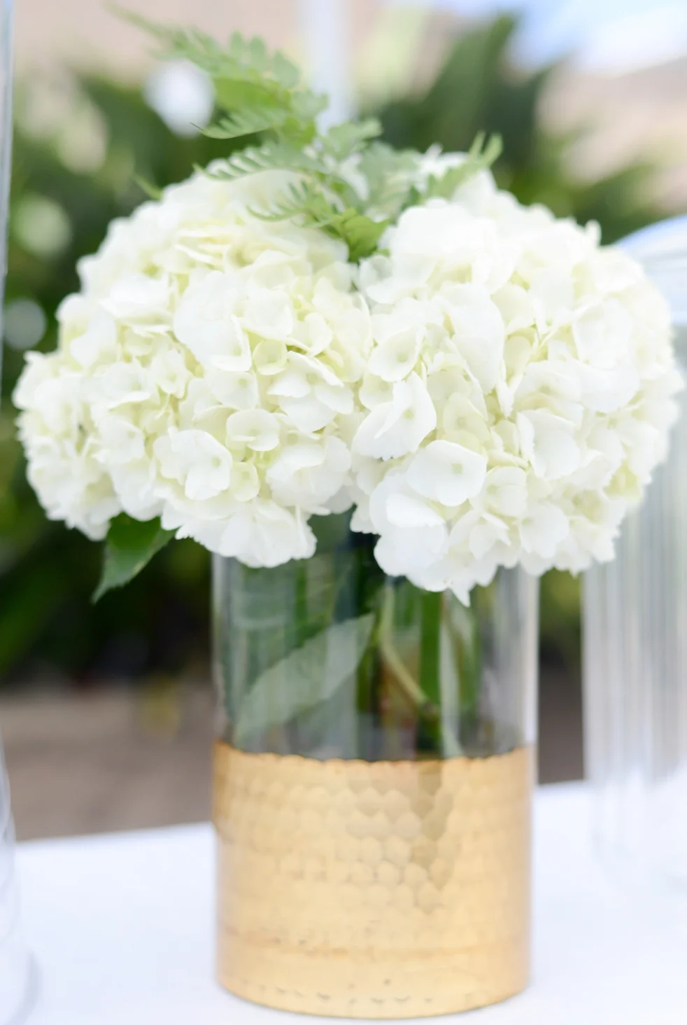 Shaista  Bilal 64.jpg