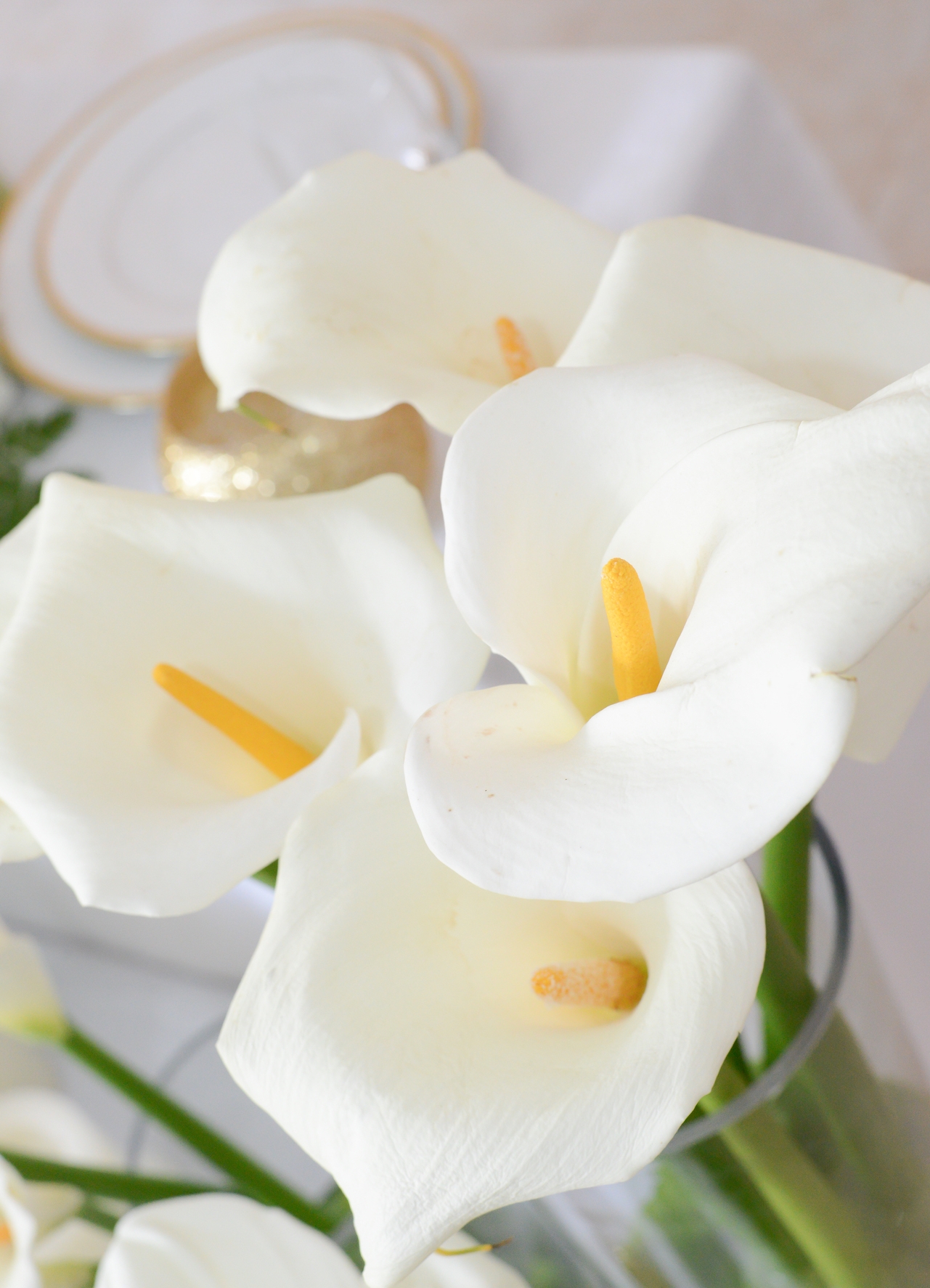 Shaista  Bilal 69.jpg