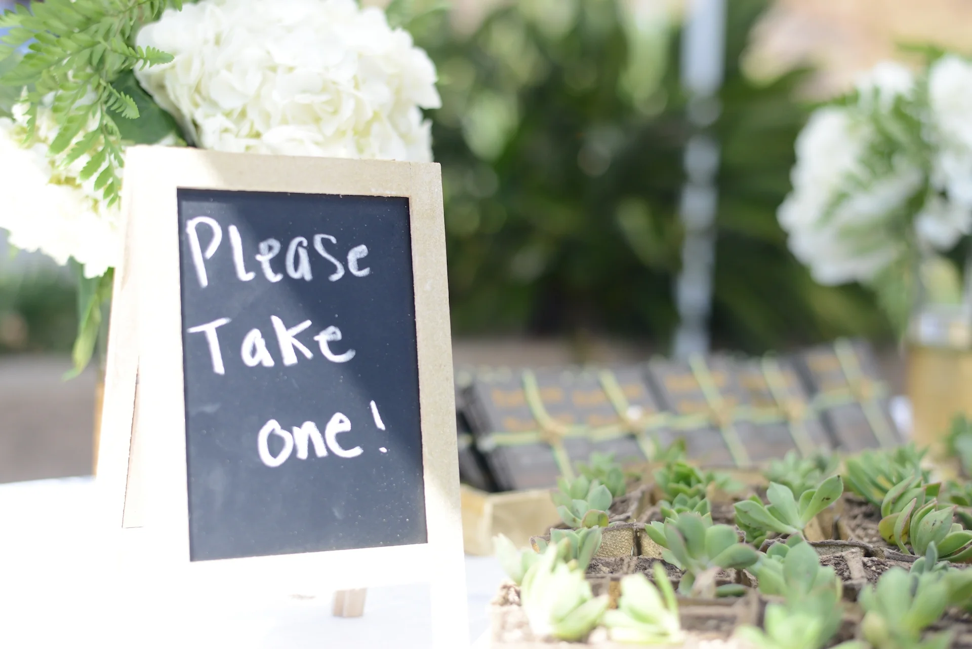 Shaista  Bilal 63.jpg