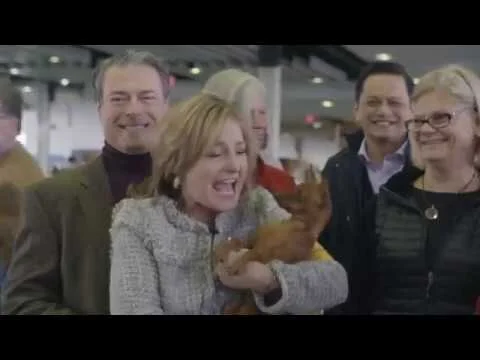 Inside the 2019 WKC Dog Show: CROWNED